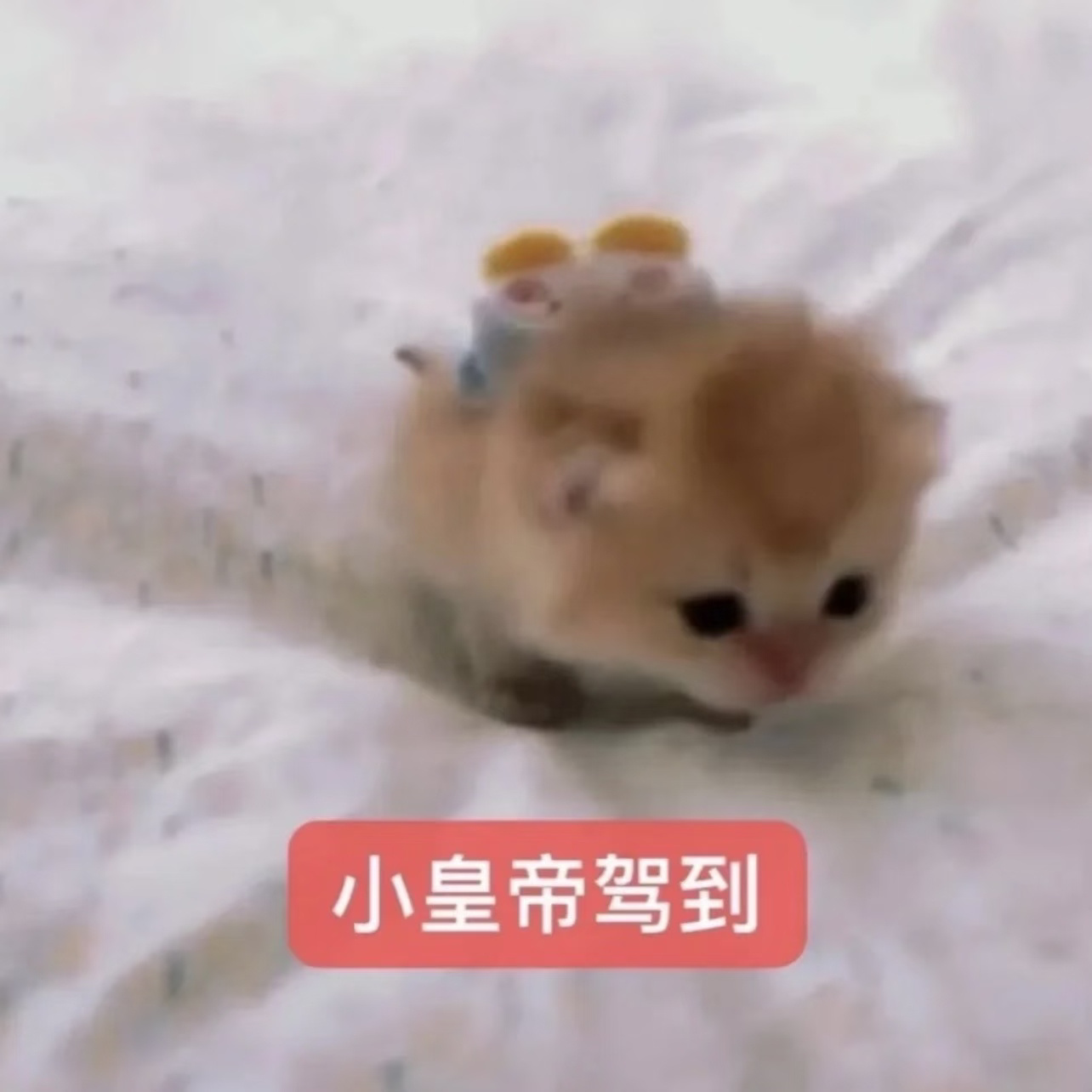 孩子们中午都吃什么了！给我点参考！ 