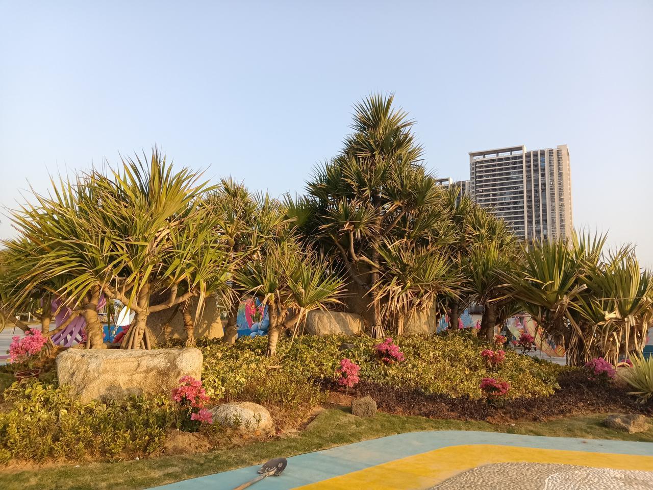 有没有漂亮的花朵图片吗