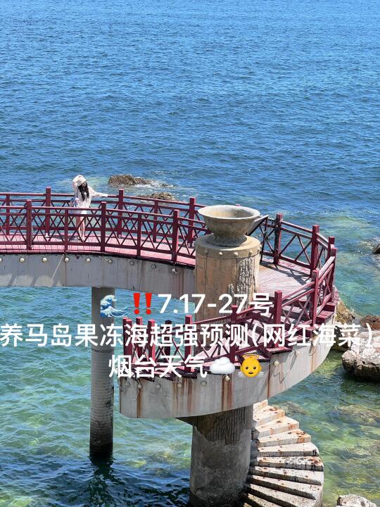 📍7.17-27号烟台养马岛果冻海超强预测