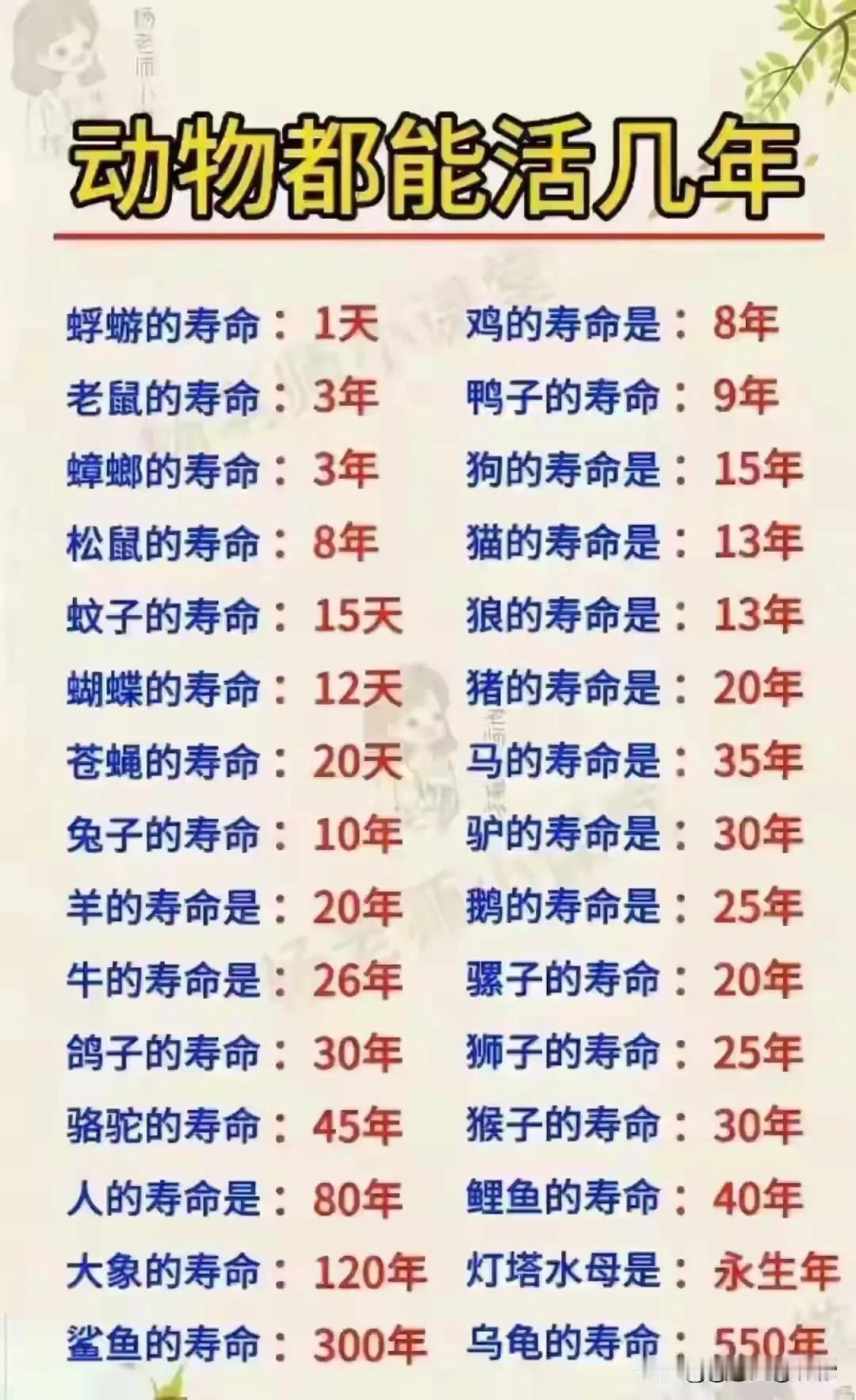 动物的寿命时间排行榜，终于有人整理好了，看完长知识了。