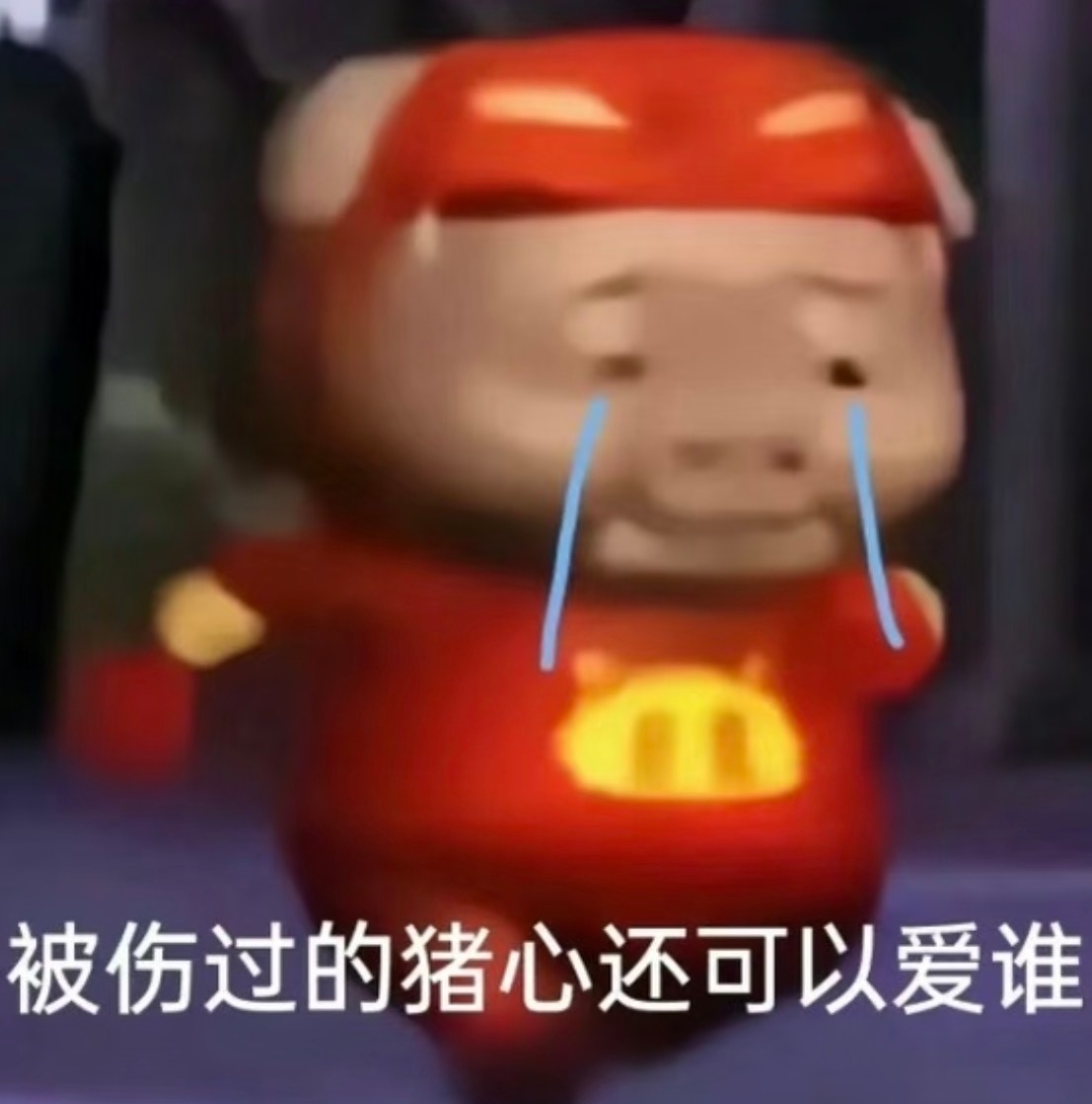 温馨提示 你的端午假期已过半田栩宁参半品牌代言人