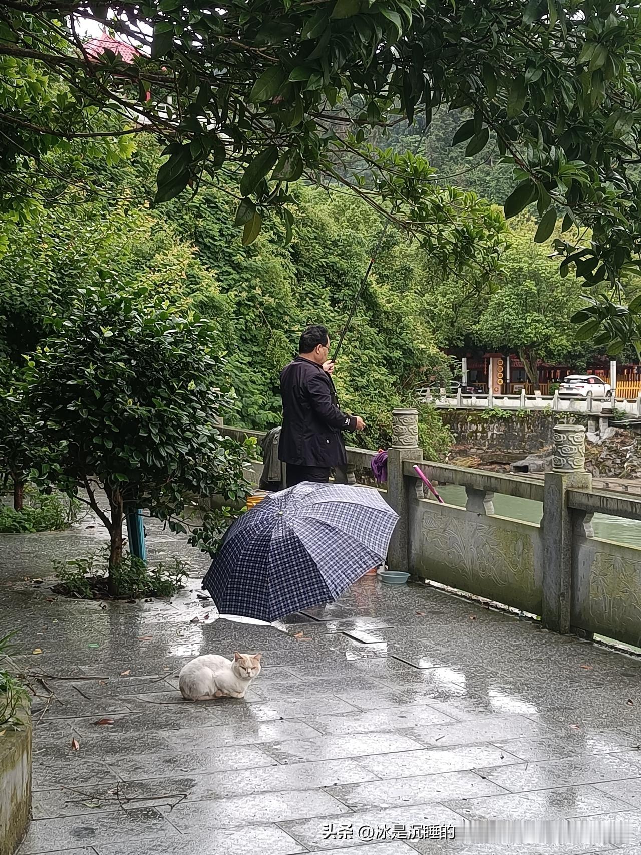 钓鱼佬与猫咪的默契。这个世界上，比较执着的群体里钓鱼佬算是一个，风雨无阻，只为钓