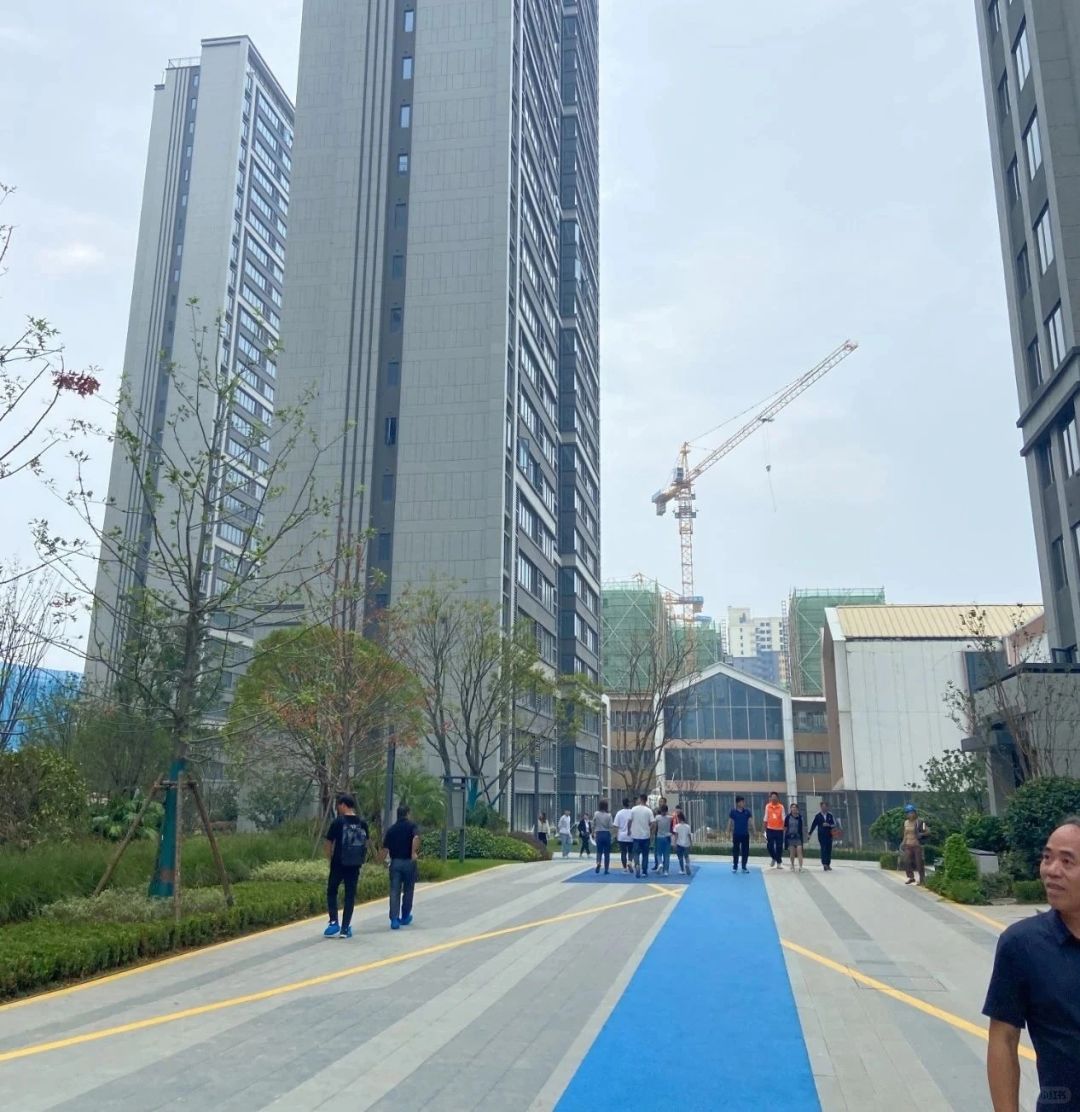 什么样的房子是好房子