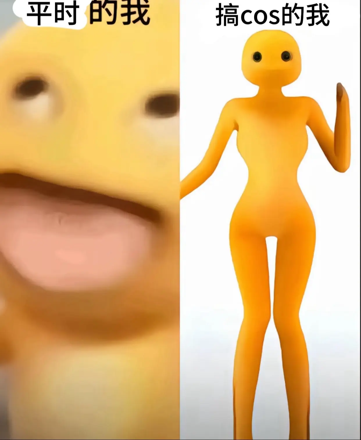 那我问你