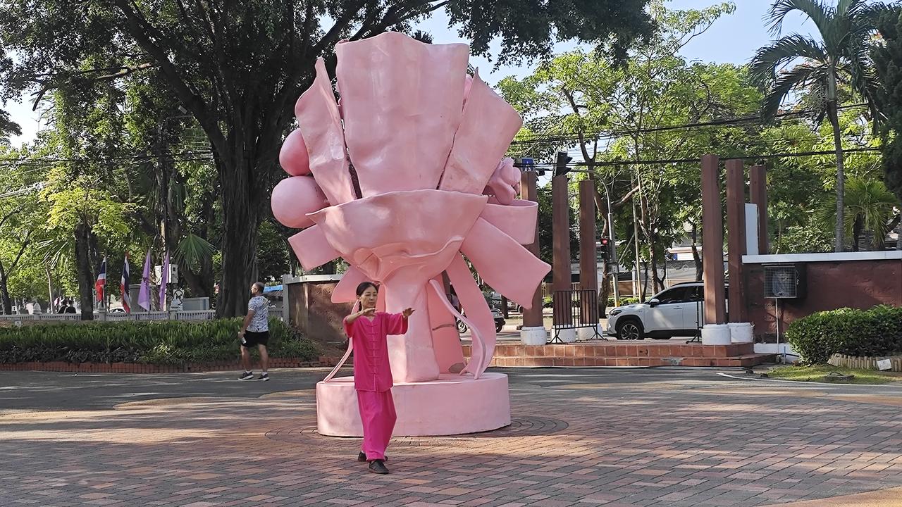 我们应怎么去练太极拳? 练太极拳可别瞎比划，不然练十年也是“太极操”。
对零基础