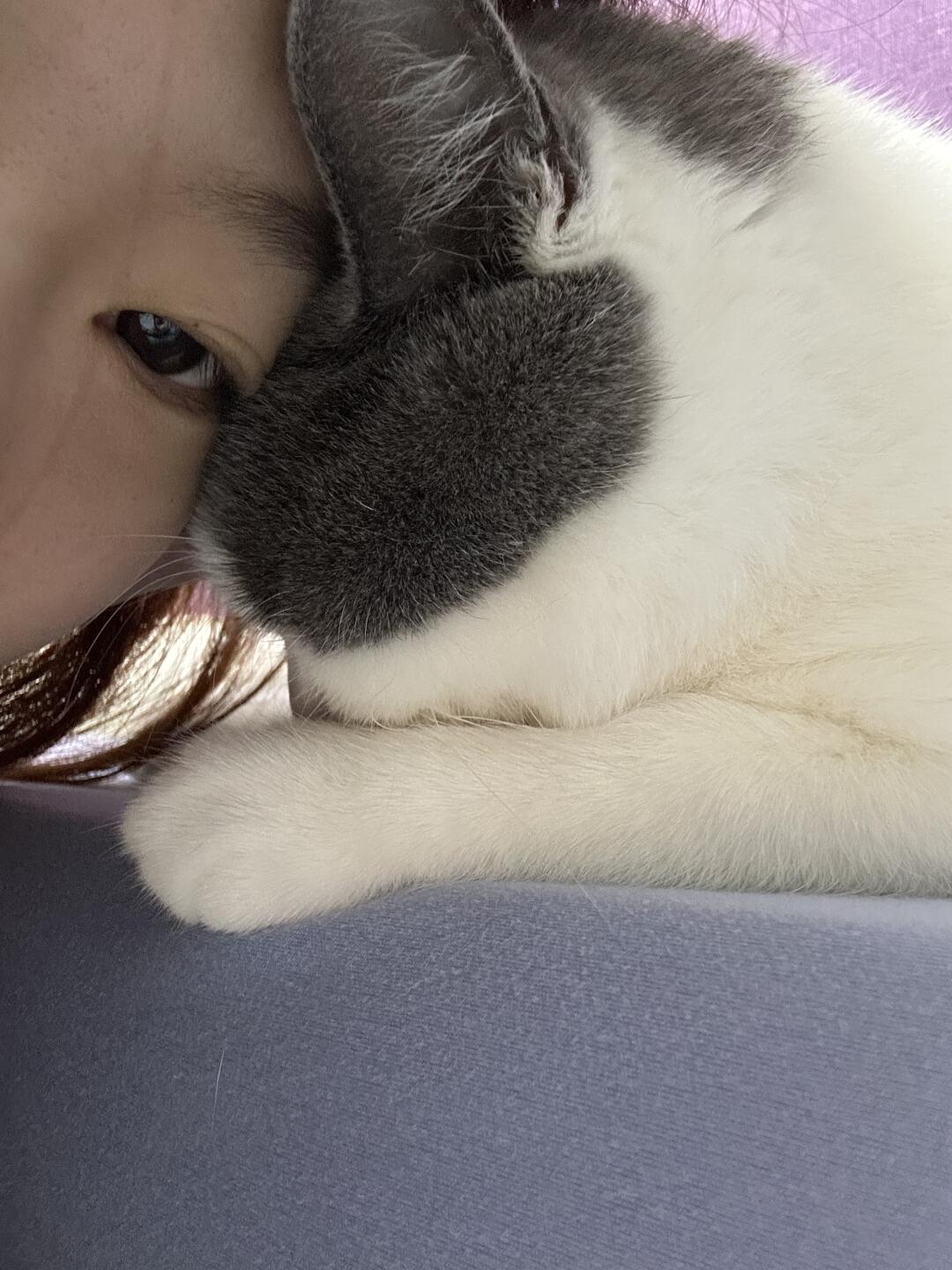 汪桑 对不住了