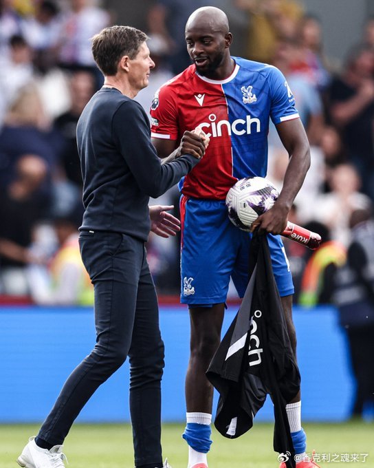 水晶宫队是冬窗最活跃的俱乐部。尽管主力中卫队长格伊转会曼城，但他们并没有引进防线