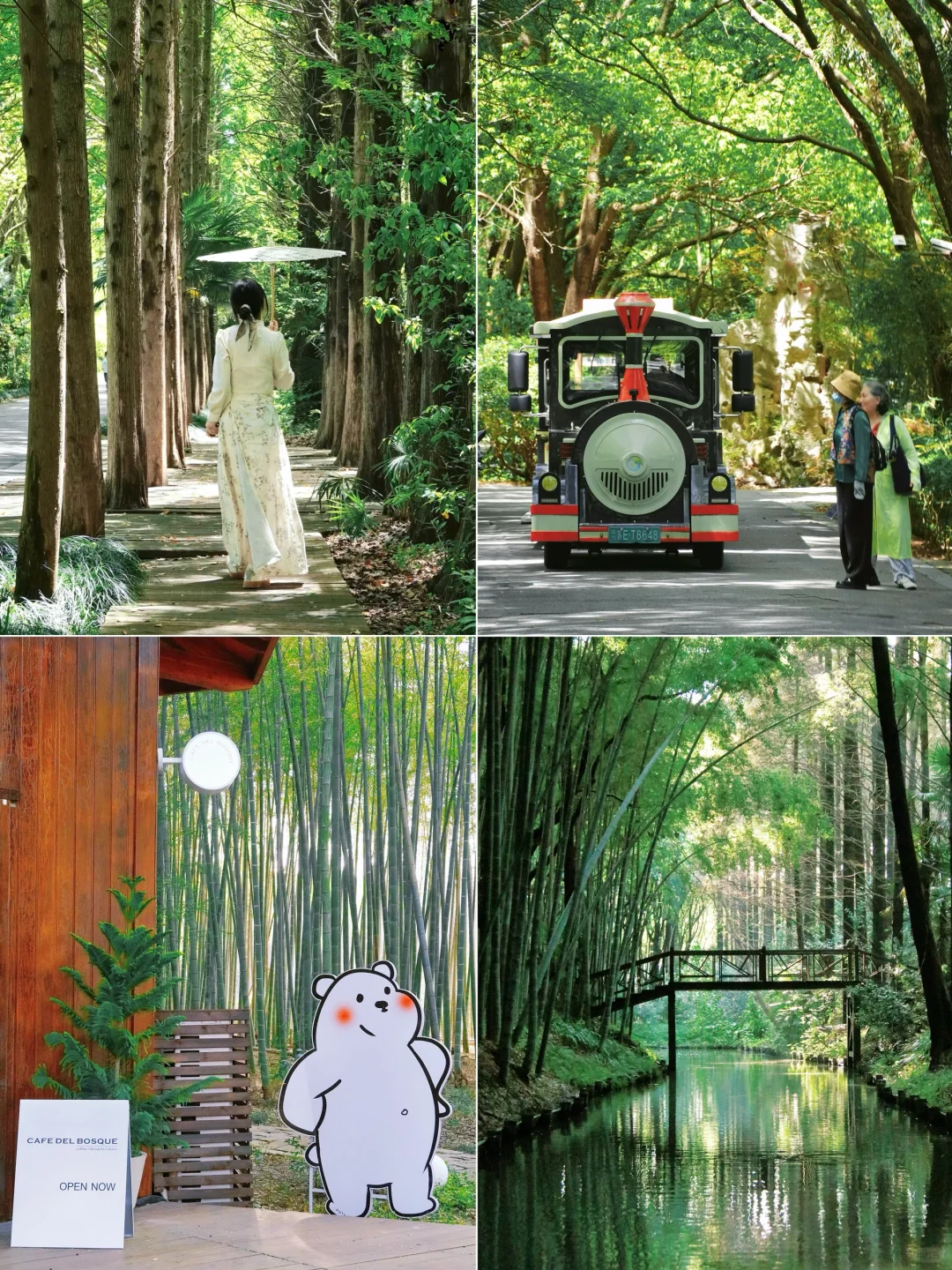 五一来苏州🍃别错过同里小众绿野仙踪‼️