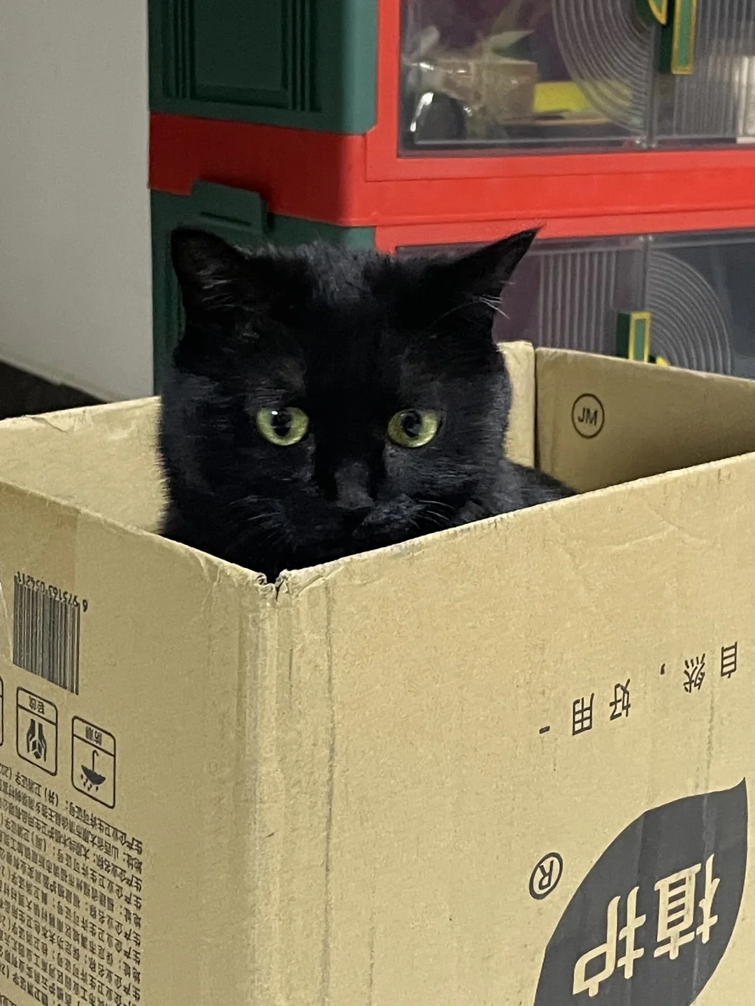 再见了妈妈 今晚我就要流浪 🥺