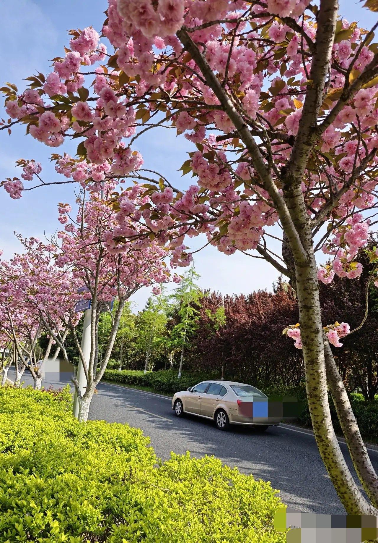 你发现没有，

不管是亲戚、朋友还是同事，
人和人之间
真的得有距离感，分寸感太