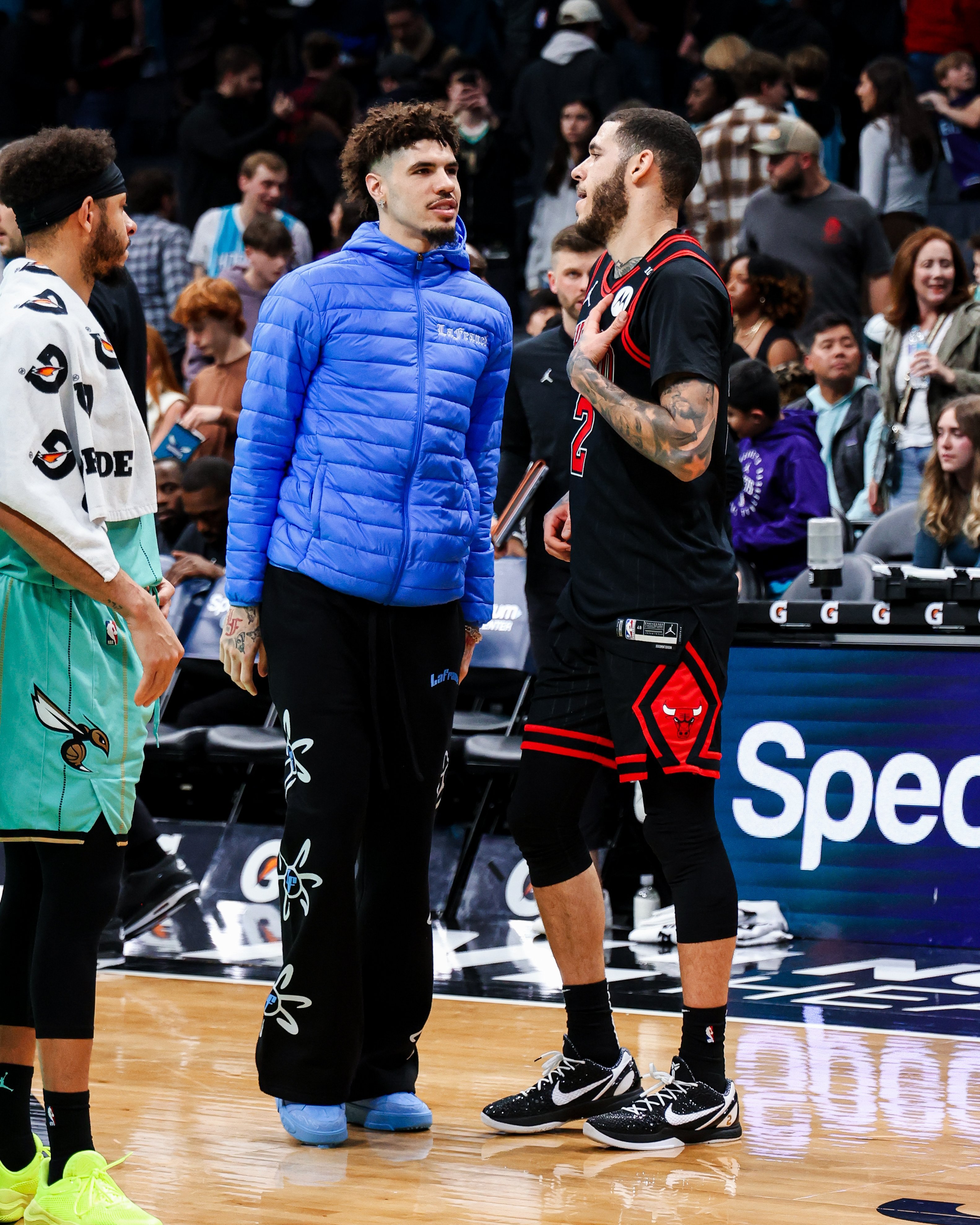 Lonzo & Lamelo [好爱哦][好爱哦] 