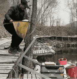大鱼出护的那一刻，钓鱼佬的信念塌方了。