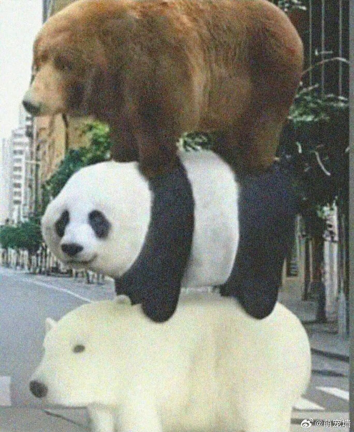 原来某动画是写实片 ​​​