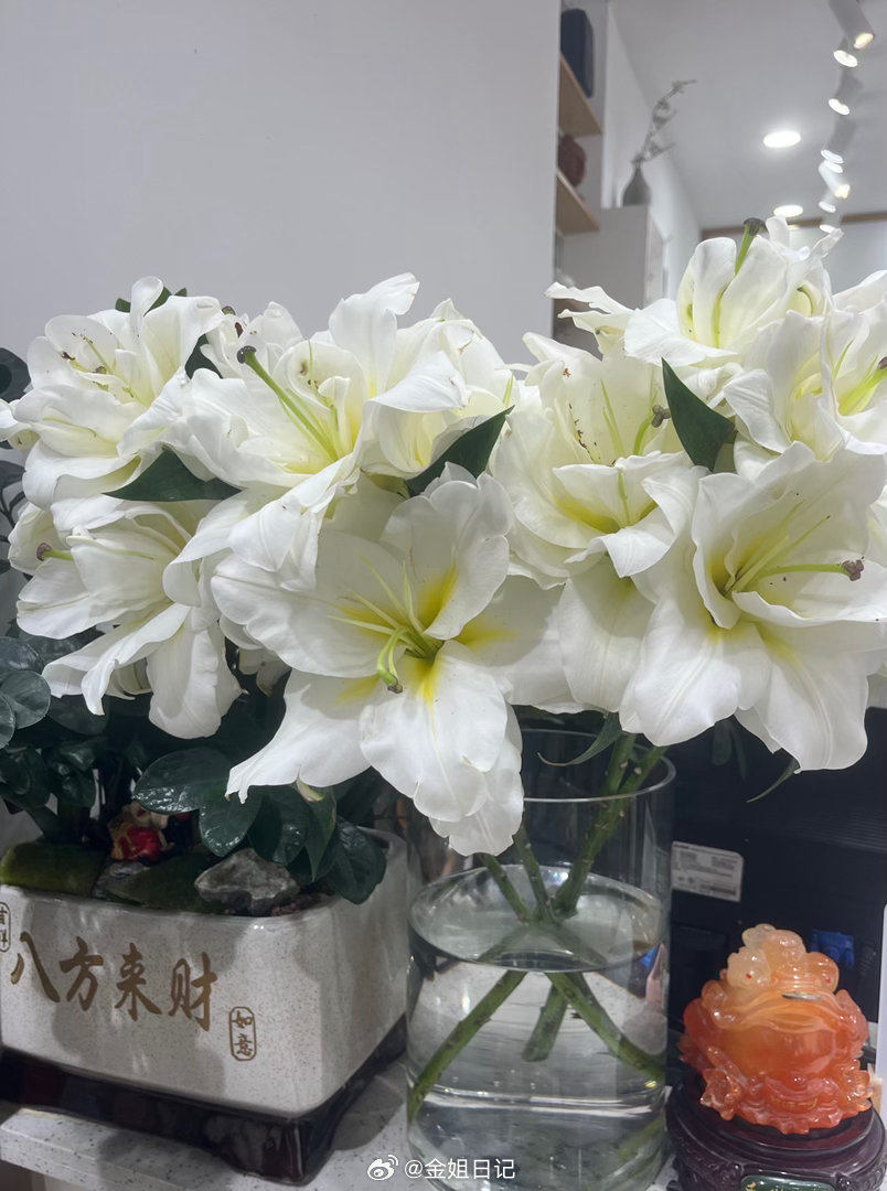 情绪对了，日子就顺了，祝我方寸不乱，热烈而自由，养好自己的磁场，好事自然发生！未