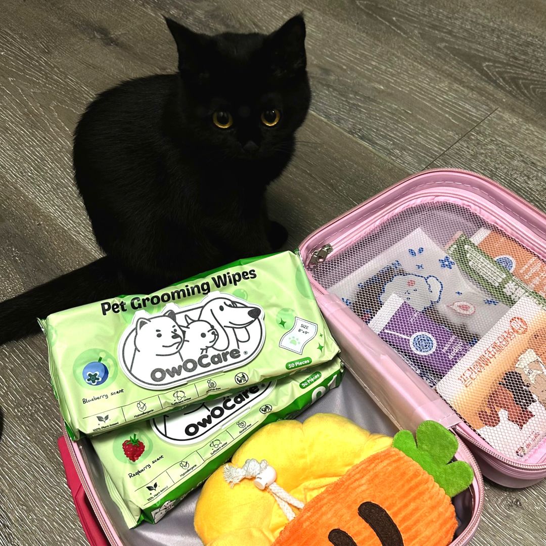 再见了妈妈今晚宝就要远航