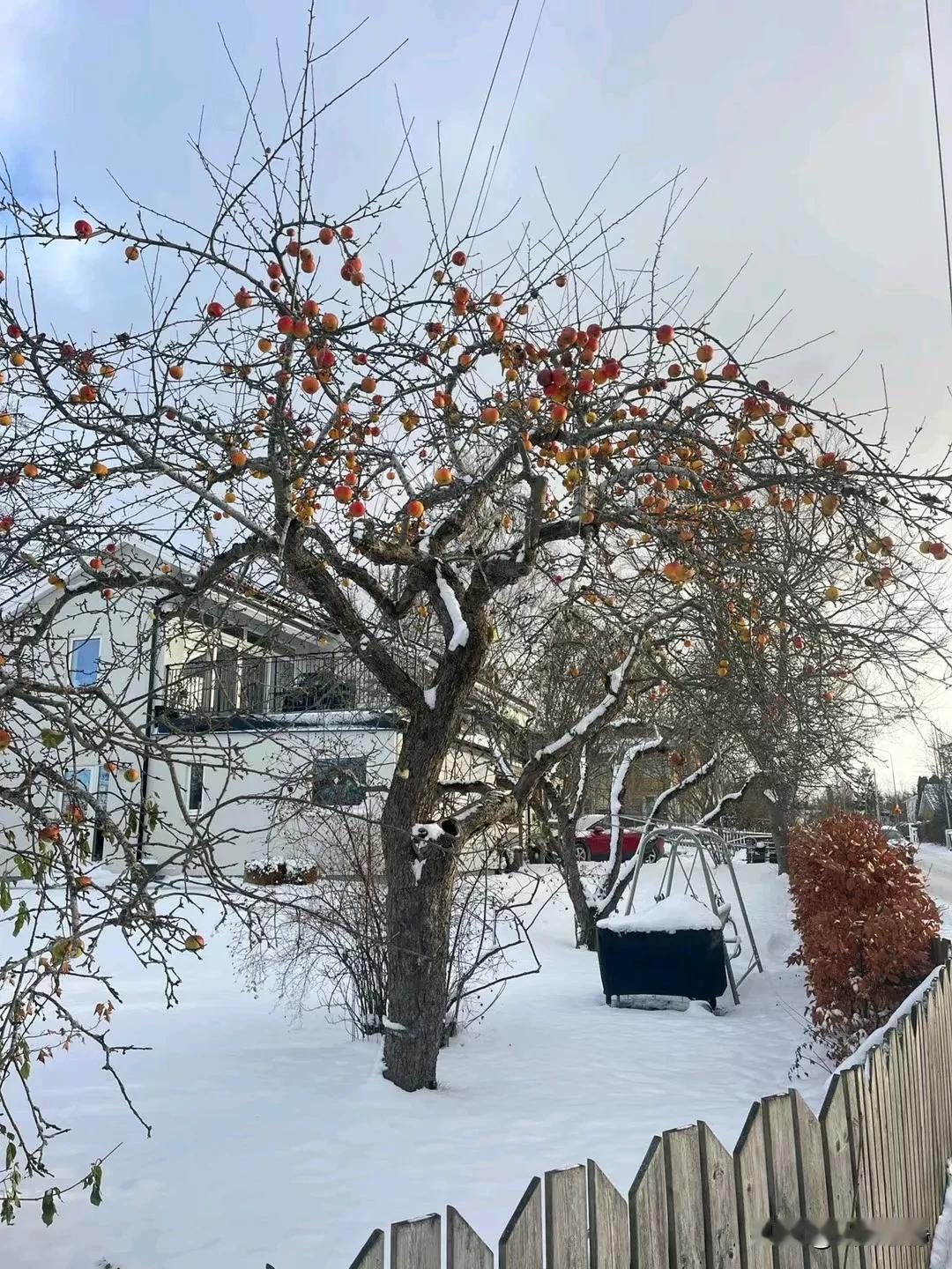 降温了，天气越来越冷了，添一件衣服，添一份温暖，也添一份我的祝福，祝你平安幸福，