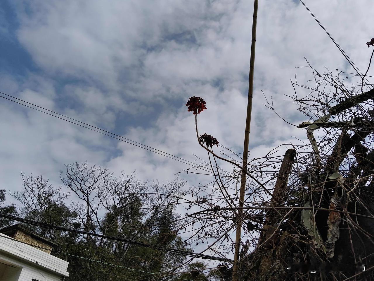 大年初五被嫂子骂哭了😭
你们过年有没被人骂过或拌嘴，事情是在娘家发生的，我洗好