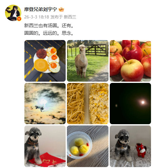 刘宇宁新西兰九宫格刘宇宁新西兰plog 刘宇宁新西兰plog 