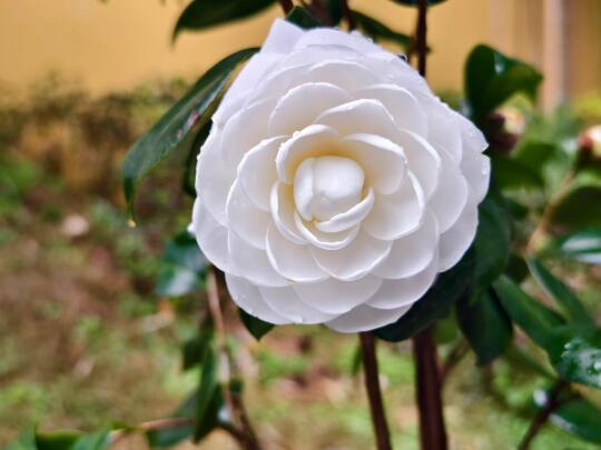 突然和妈妈聊了聊小时候被猥亵的事