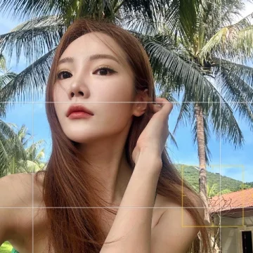 玫瑰不长高