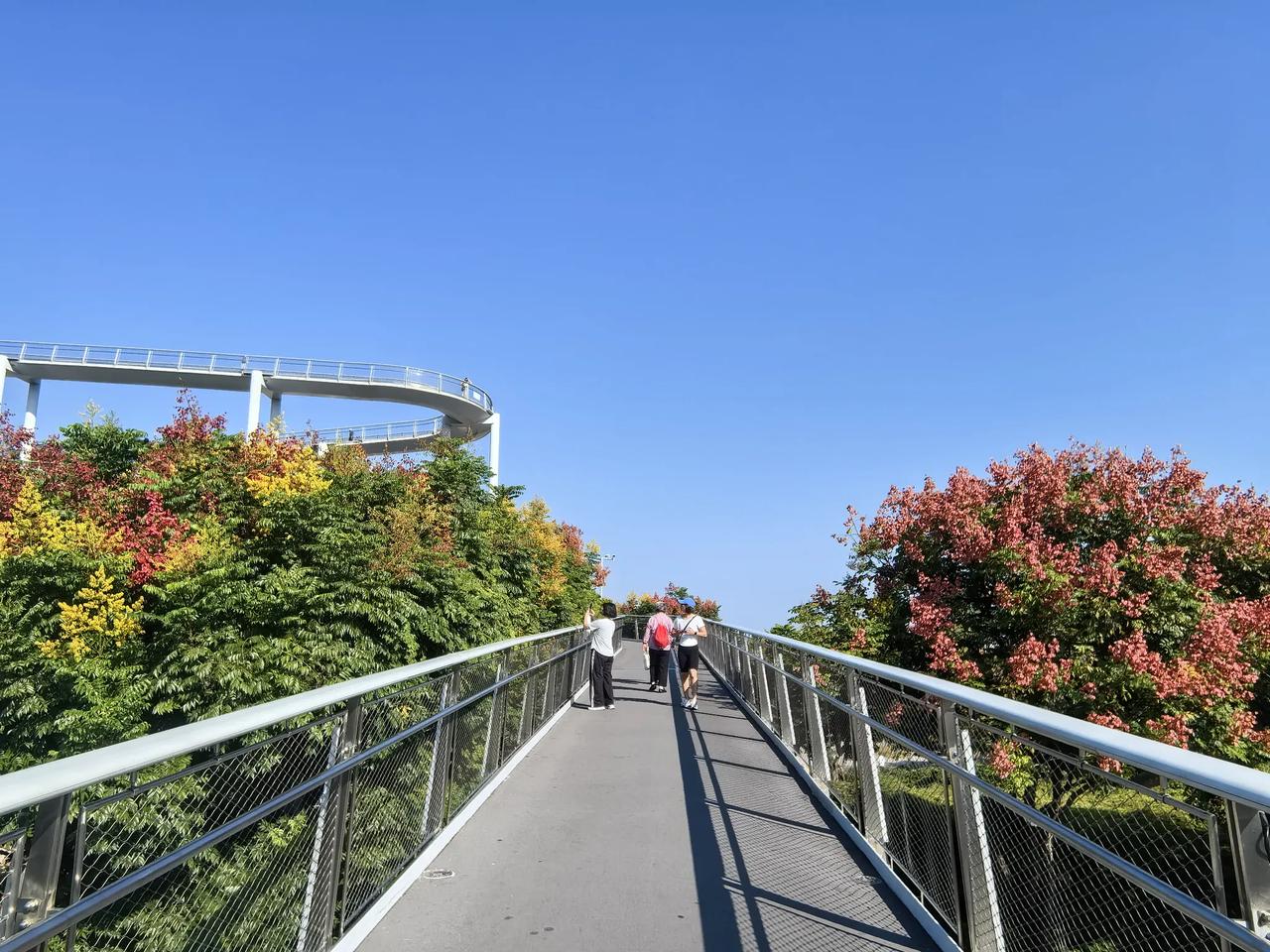 画室迎接东方第一缕曙光，再来仙岳山采阳采风。