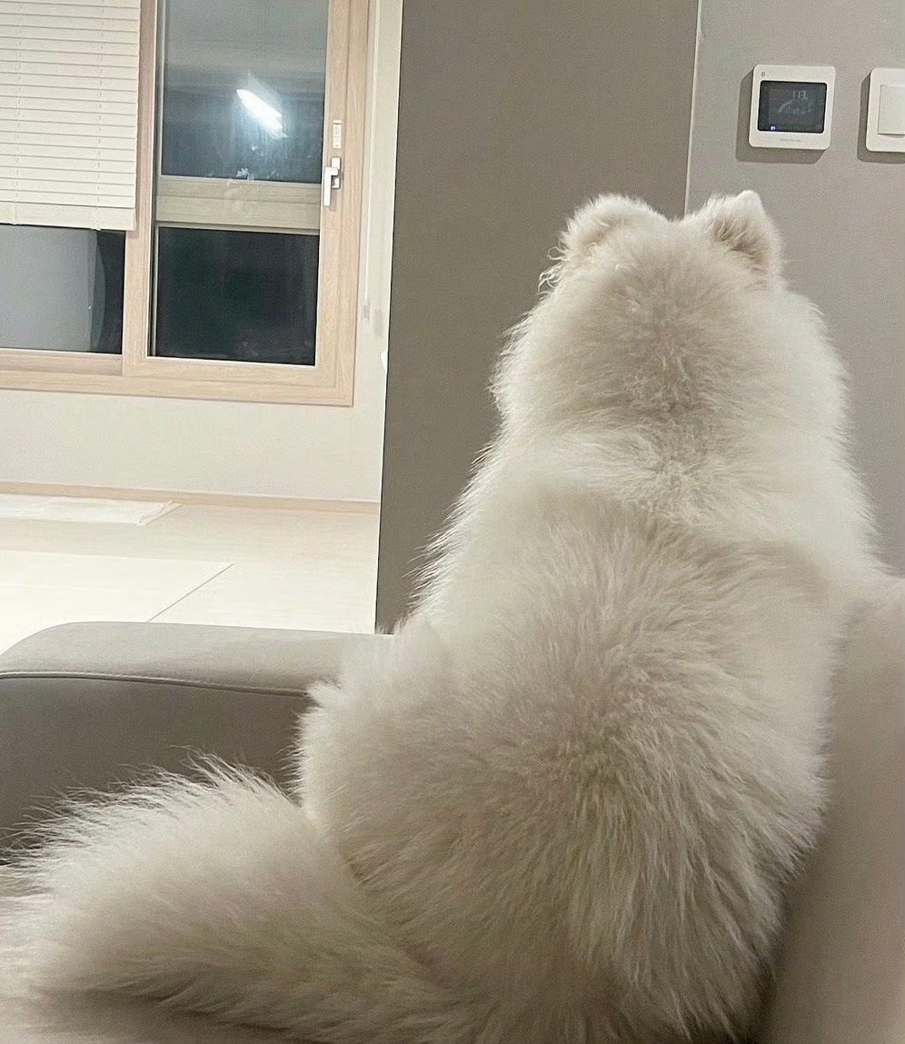 今年的你会随时翻身！ 