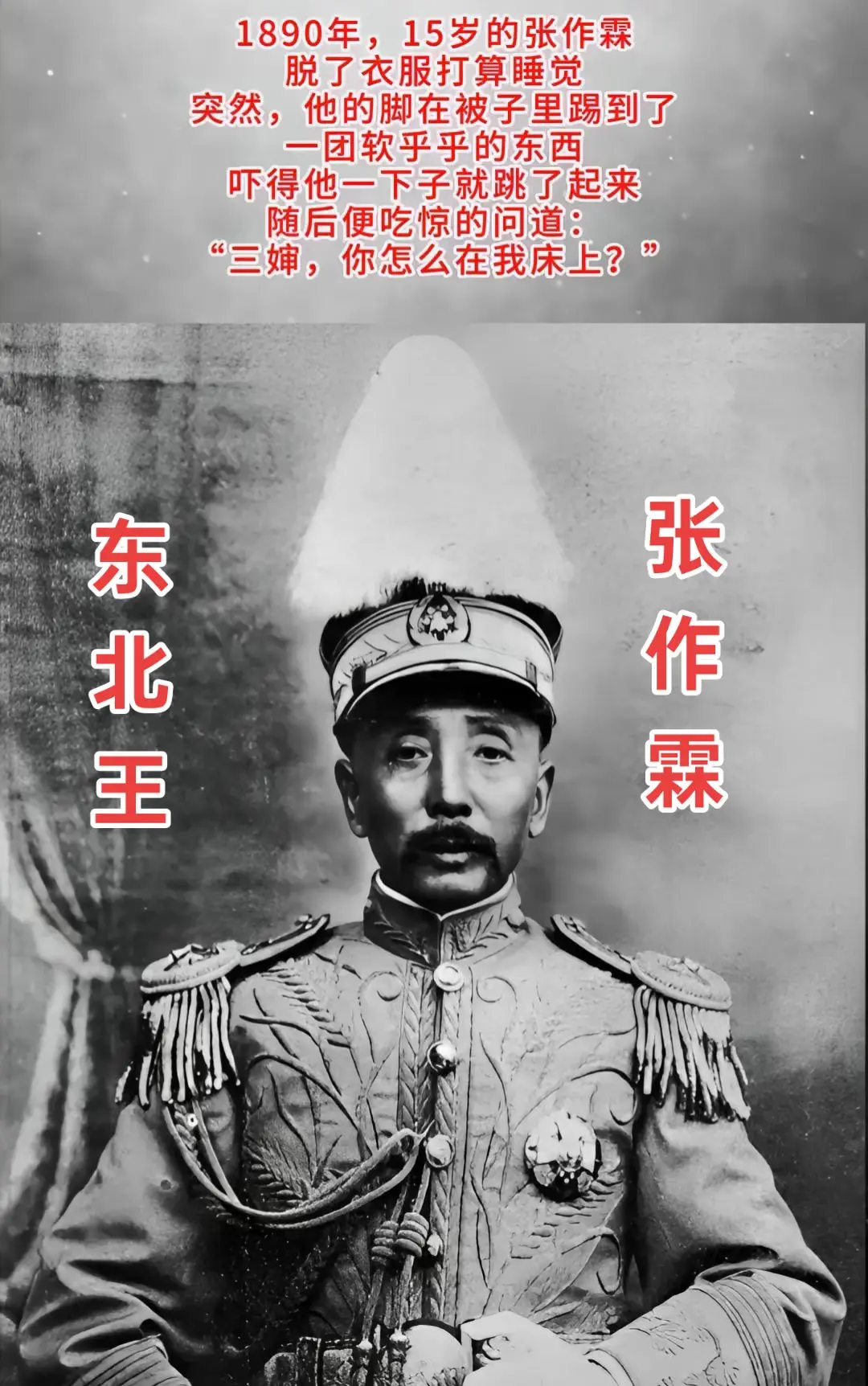 历史 张作霖