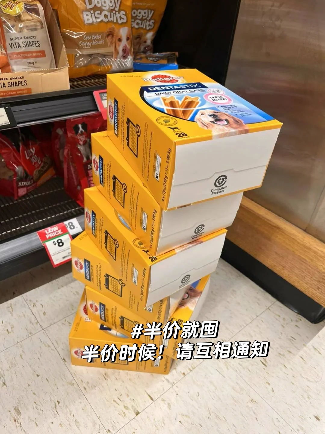 澳洲养狗人一起省钱贴｜持续更新信息收集