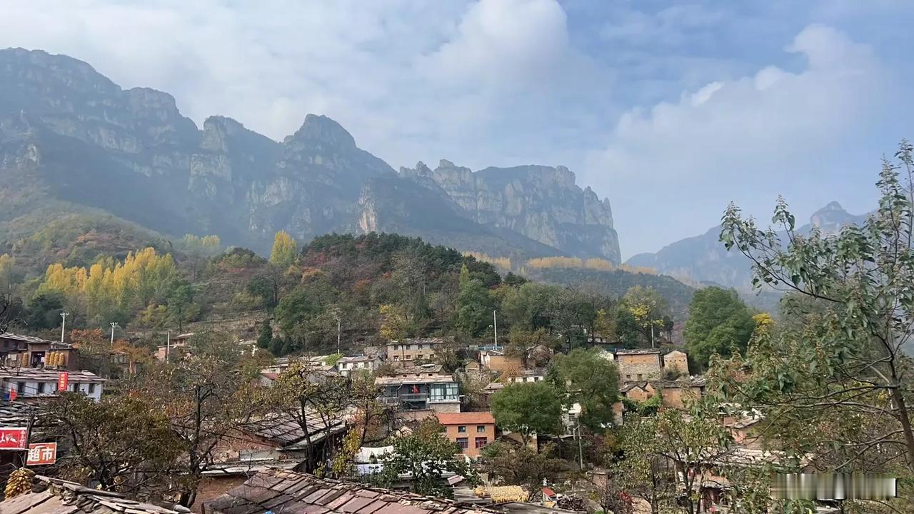 分享手机里的花花草草太行山脚下，南太行的小山村，纯朴且真实，没有喧嚣，没有车水马