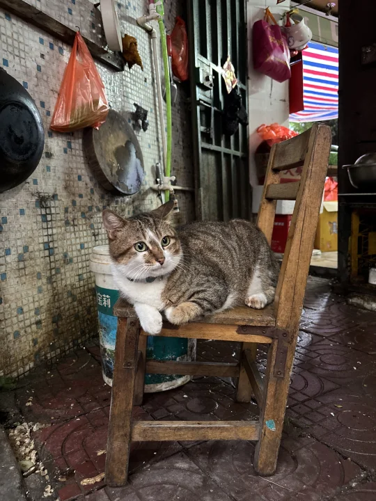 水果店收银员偷懒！抓起来！