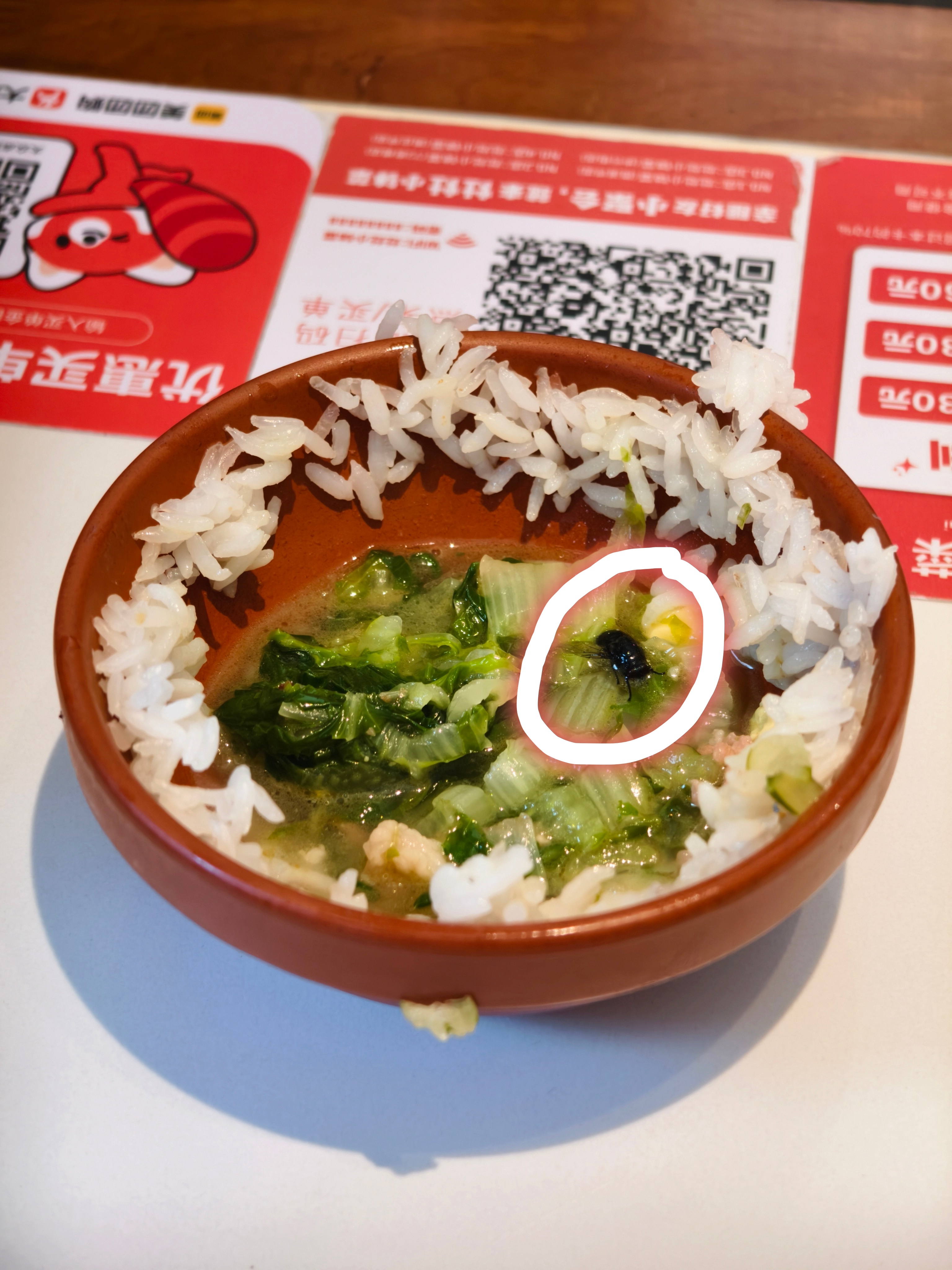 运气实在太好了，吃饭碰到一只横冲直撞的苍蝇，撞到我碗里，然后被烫死了