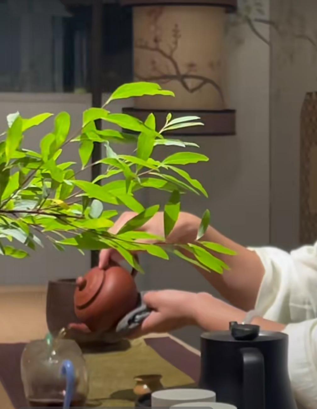 炎炎夏日，窗下风轻。
 瓷碗注沸水，茶叶慢展，茶香袅袅漫开。
几杯清茶入喉，苦尽