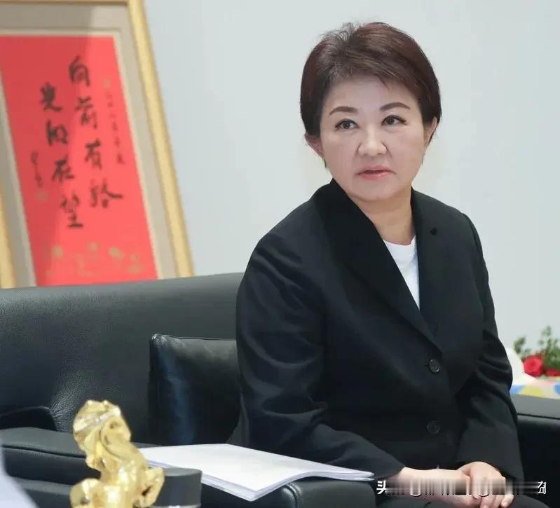 卢秀燕下指导棋？盼别被贴“美国敌人”标签，不要让美国认为国民党“过度亲近大陆。”