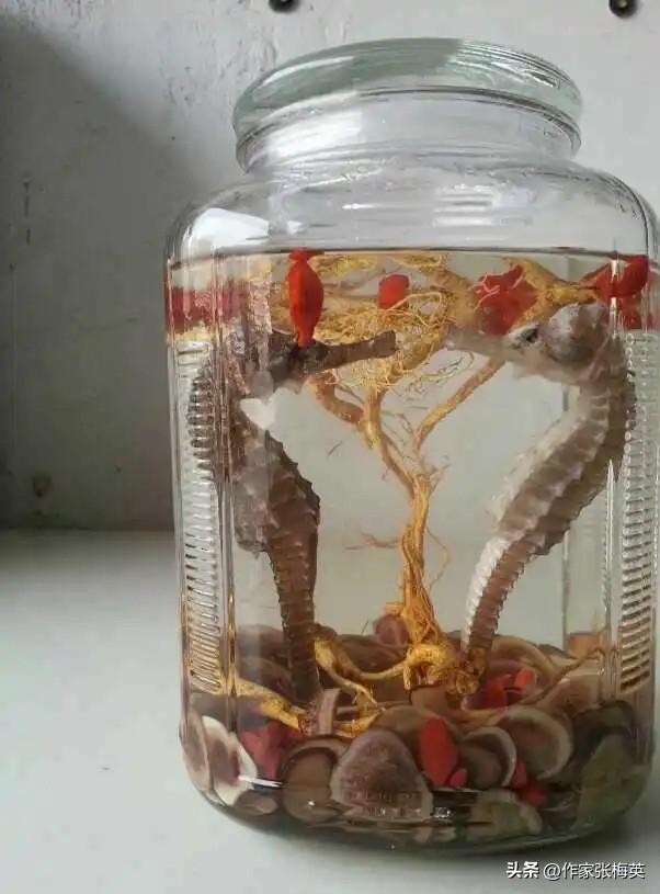 男子泡酒十几年的"珍贵药材"，竟是塑料的？网友：心都碎了，它都没碎



【离谱