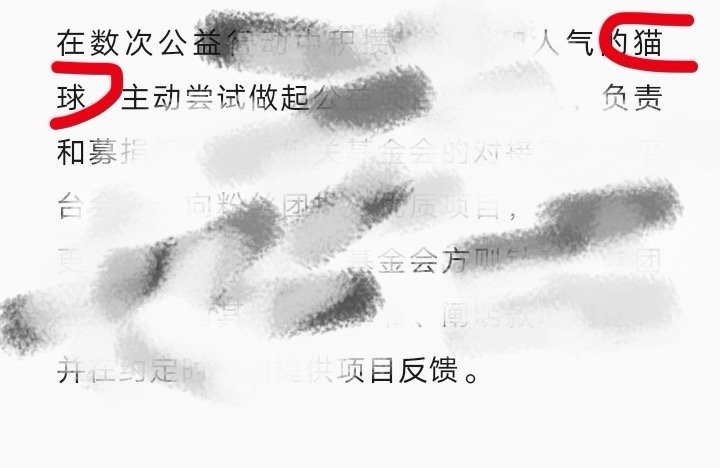我要笑翔。。棒子做公益的吹比稿，猫球的名字出现次数比正主还多。。。 