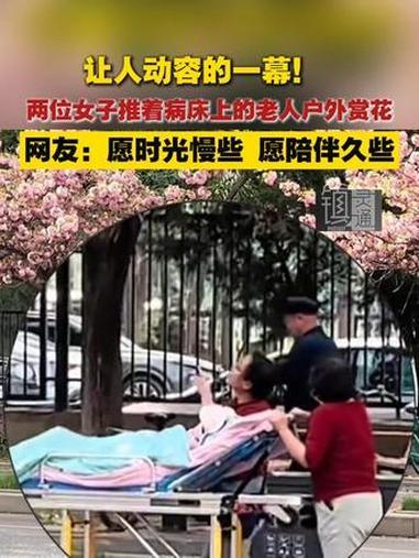 春日街头的至美风景，是藏在繁花里的拳拳孝心。西安高新二路的暖心一幕，让无数网友瞬