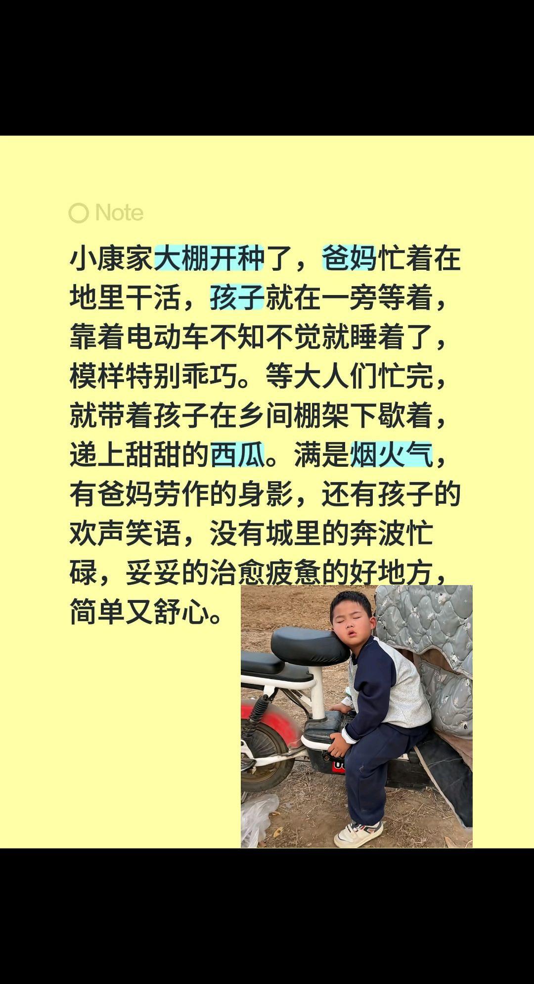 小康家大棚忙起来了，满满的烟火气……小康家大棚开种了，爸妈忙着在地里干活，孩子就