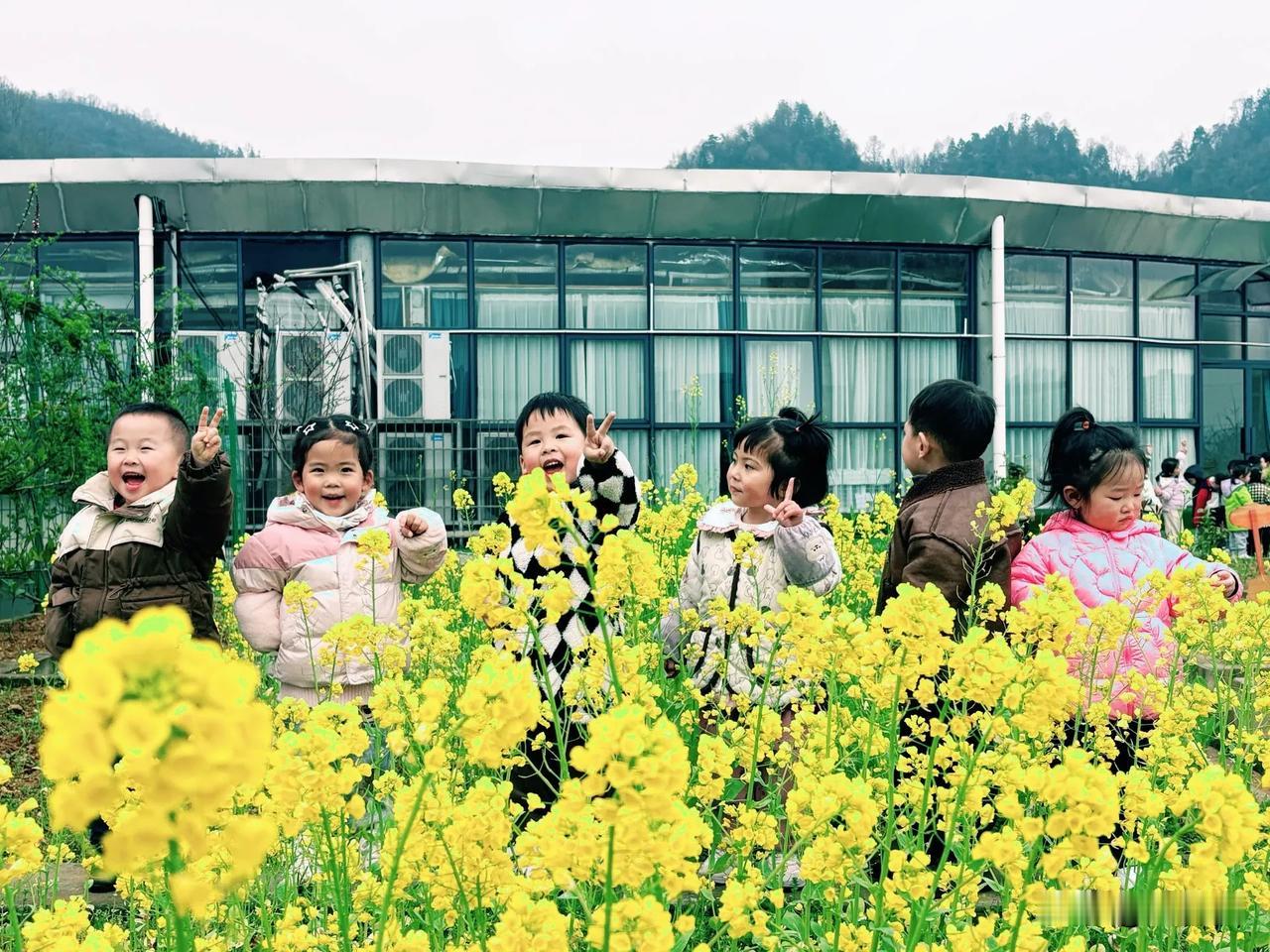 鹧鸪天·德立博苑分享礼仪教育好
（2025年3月19日）
德立油菜挂夕阳，相争分