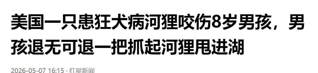 美国 8 岁男孩遭狂犬病河狸咬伤，退无可退抓起河狸甩进湖。

画面来得太猛，水边