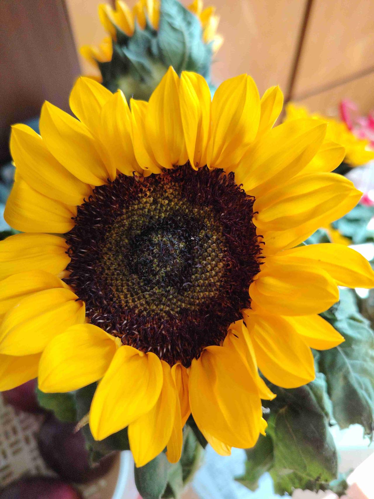 第一次买向阳花
漂亮吗
带定位晒今日生活
我的今日状态：😁轻松愉快
我这里的天