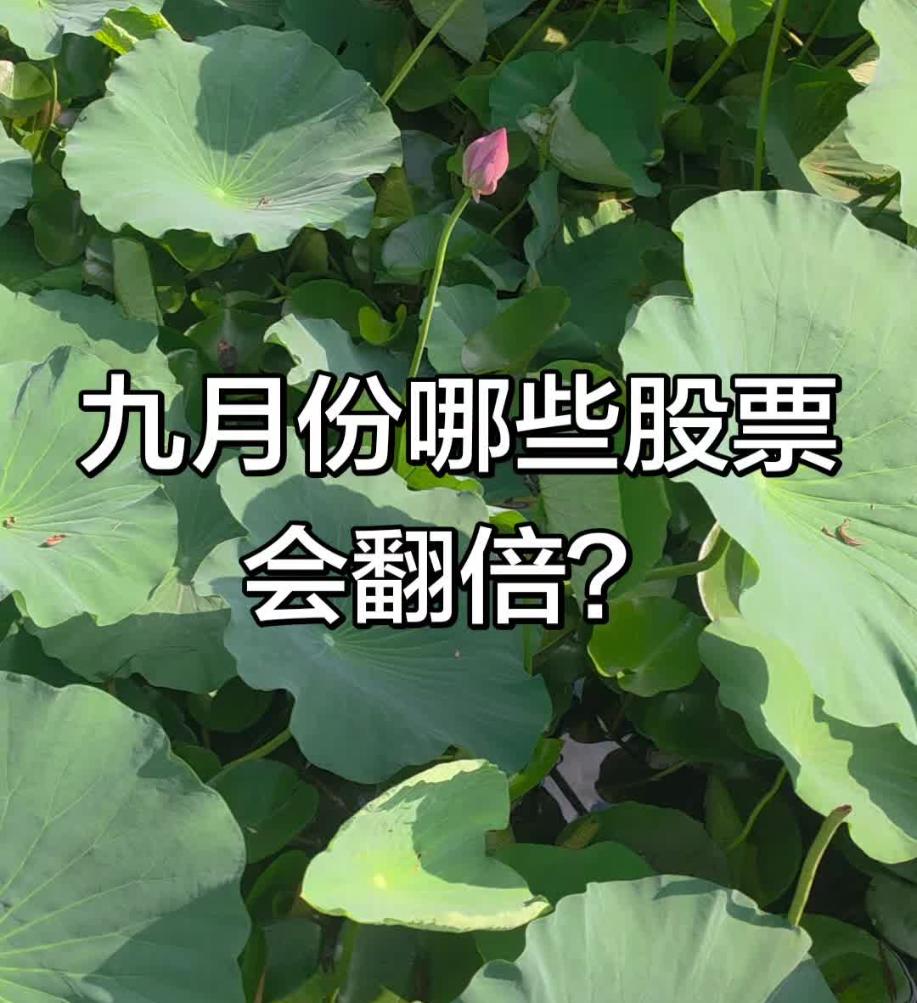 你们觉得9月份能够翻倍的股票会是哪几支？