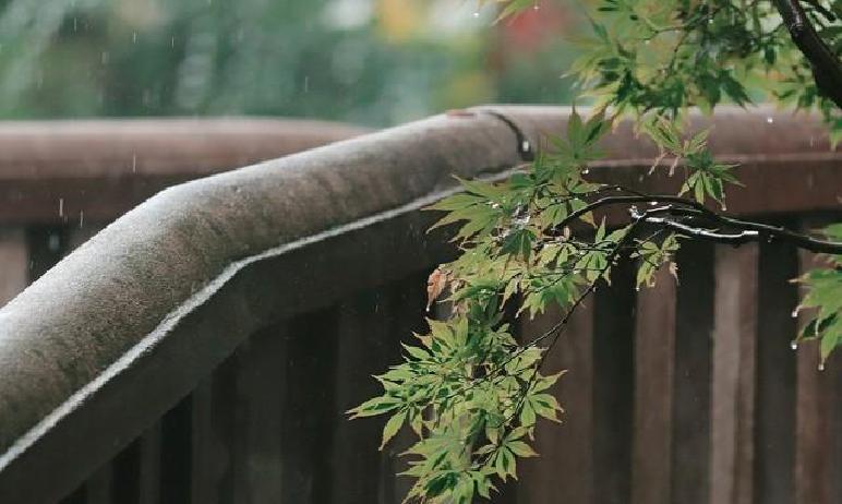 四十岁这道坎儿，很多人踩上去就觉得天旋地转，年轻时那股子不要命的劲头儿突然就泄了