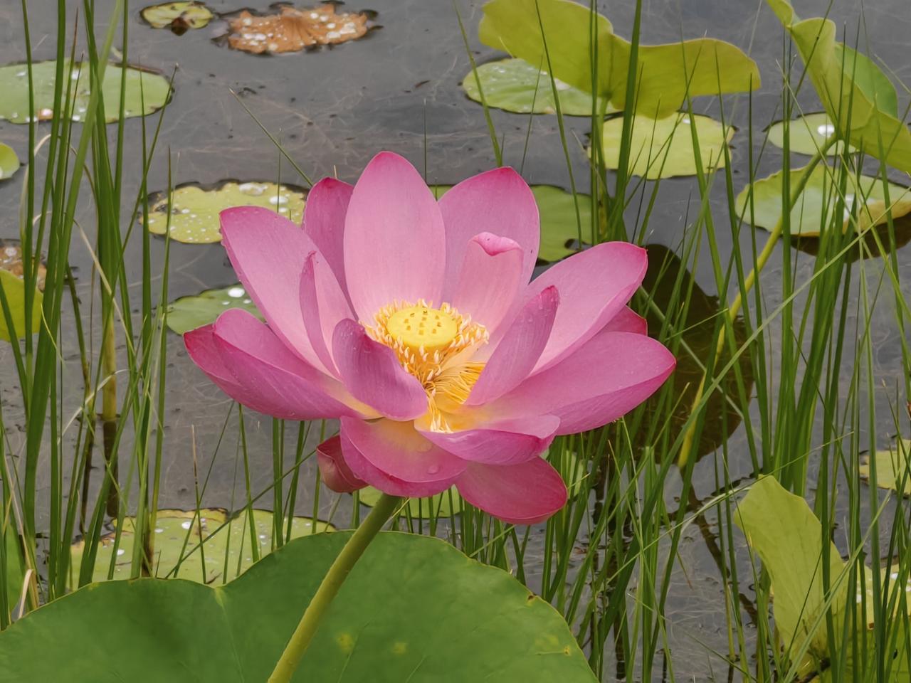 可能大家看出来了，