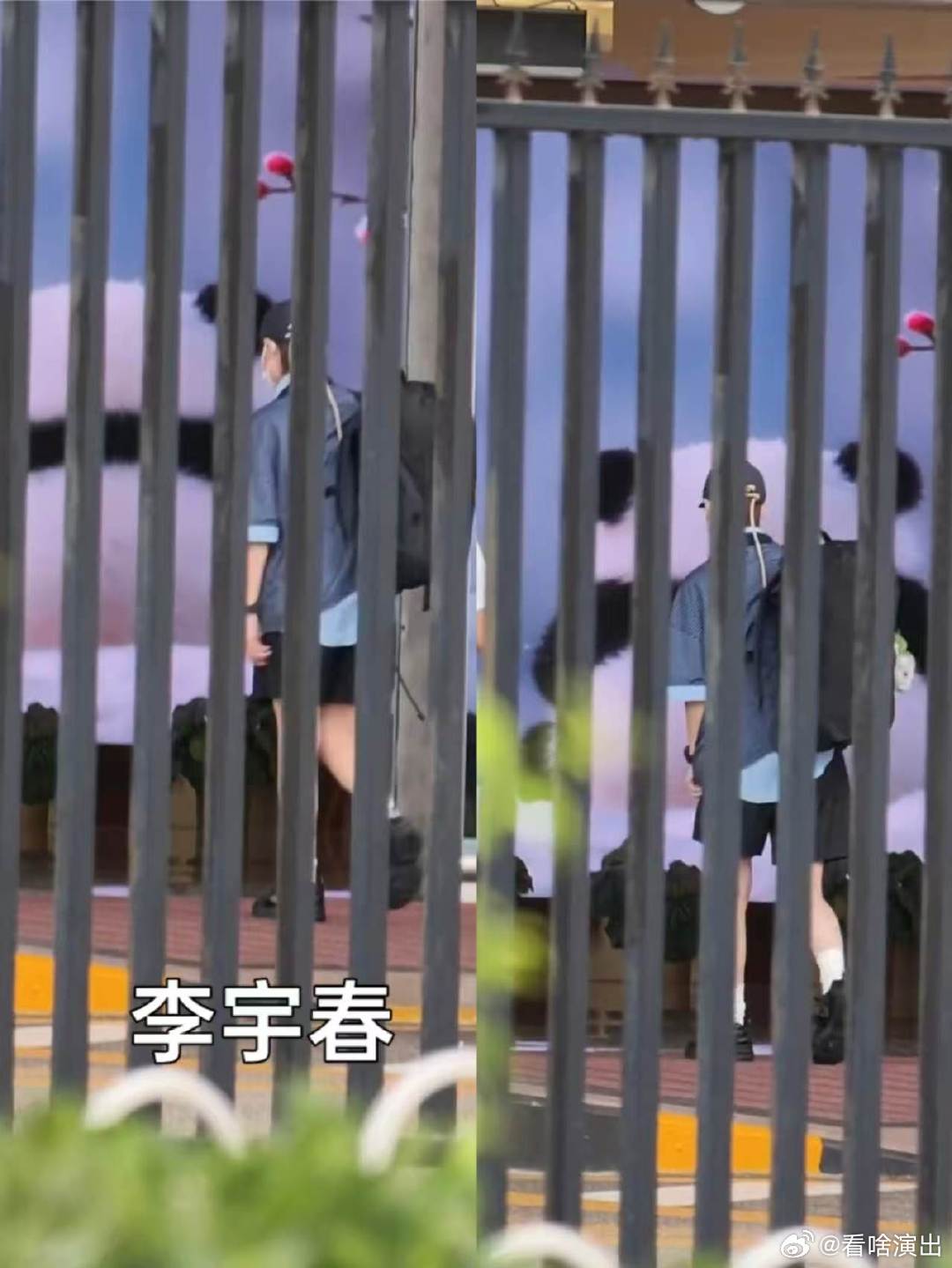 向野的我们录制路透李宇春辛芷蕾新综艺路透向野的我们开始录制了！！李宇春辛芷蕾路透