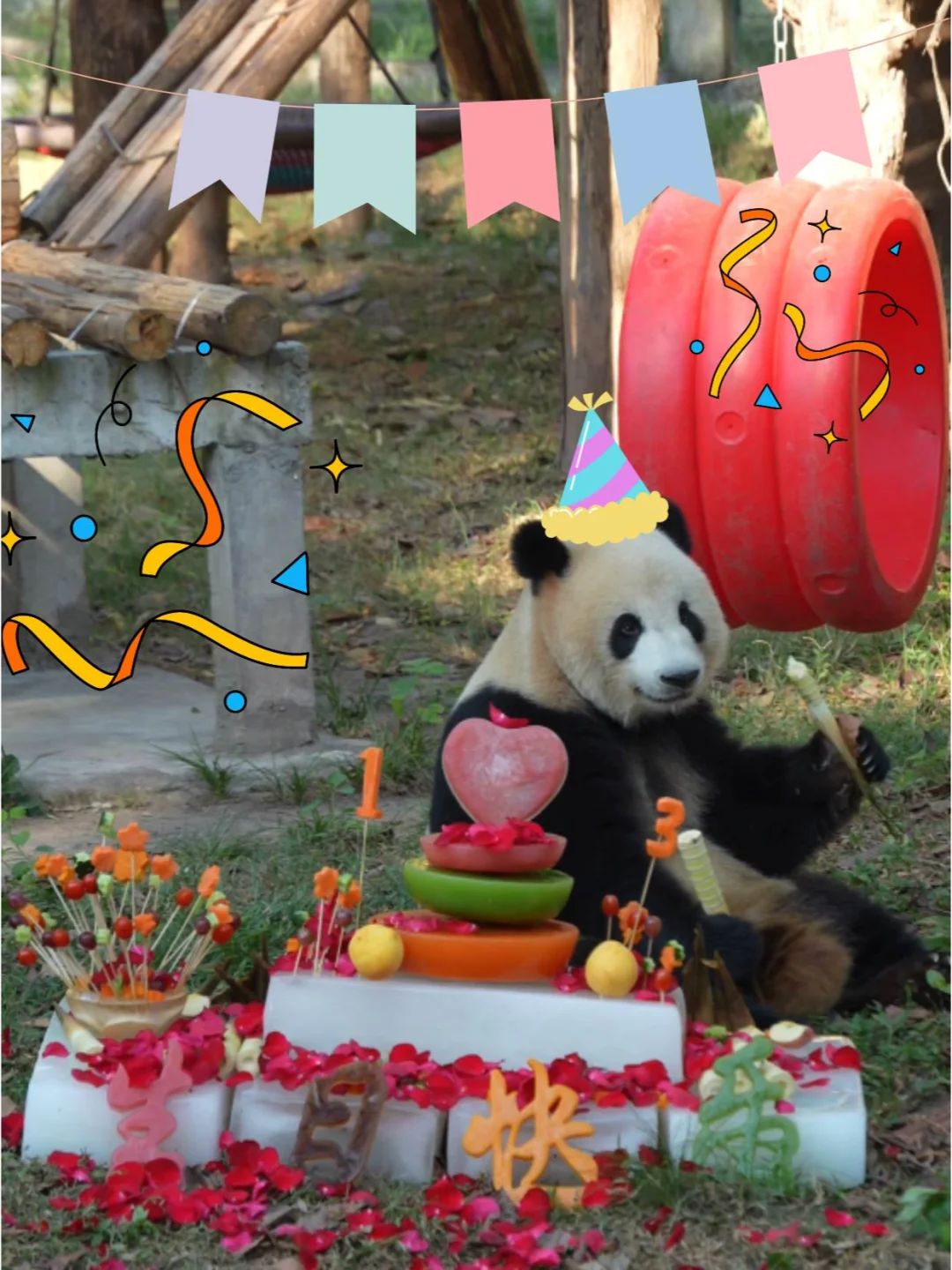 虫洞洞花莽仔13周岁生日快乐！