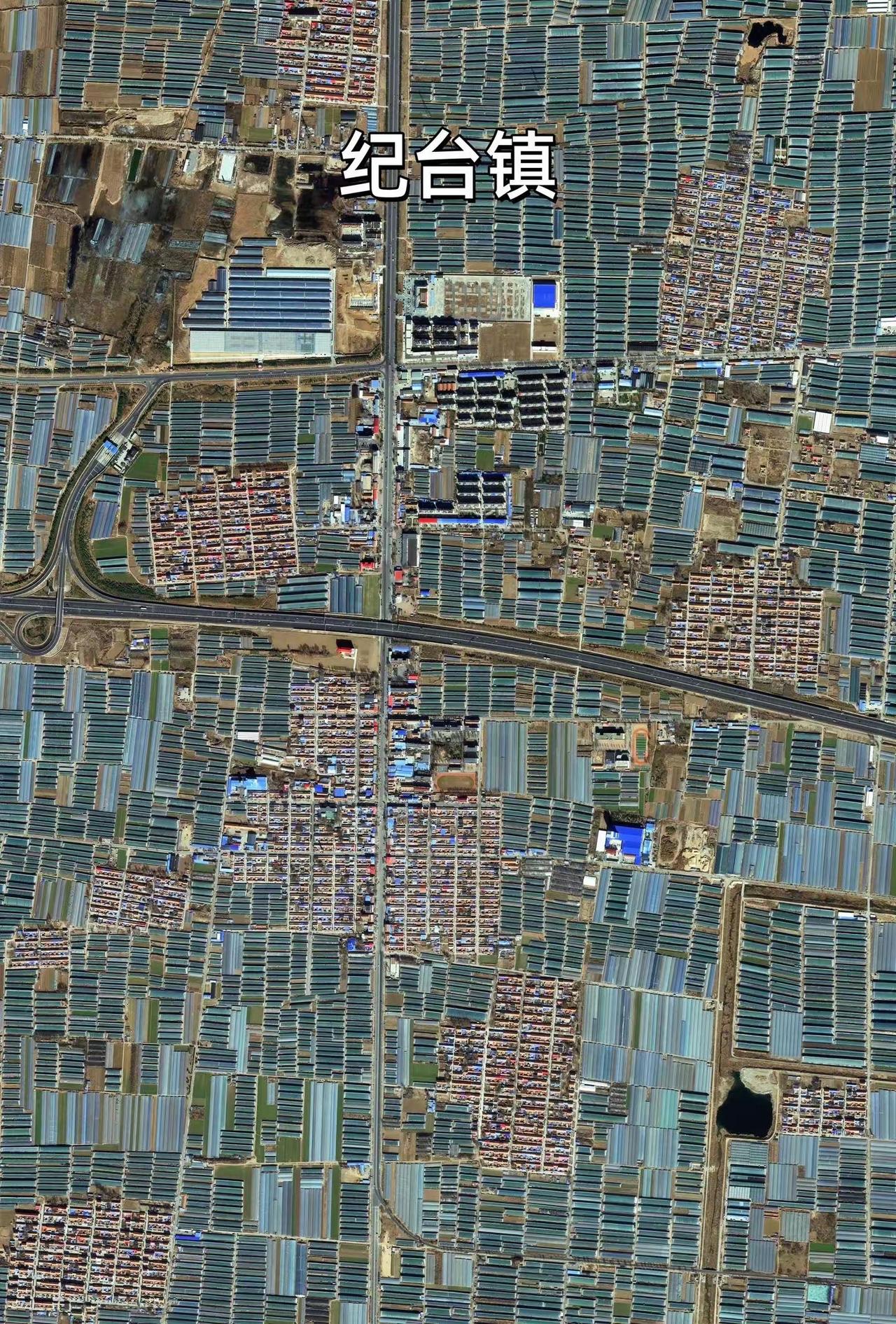 从卫星影象图上看山东潍坊地区的寿光市乡镇及蔬菜大棚分布。
寿光的蔬菜大棚呈全域布
