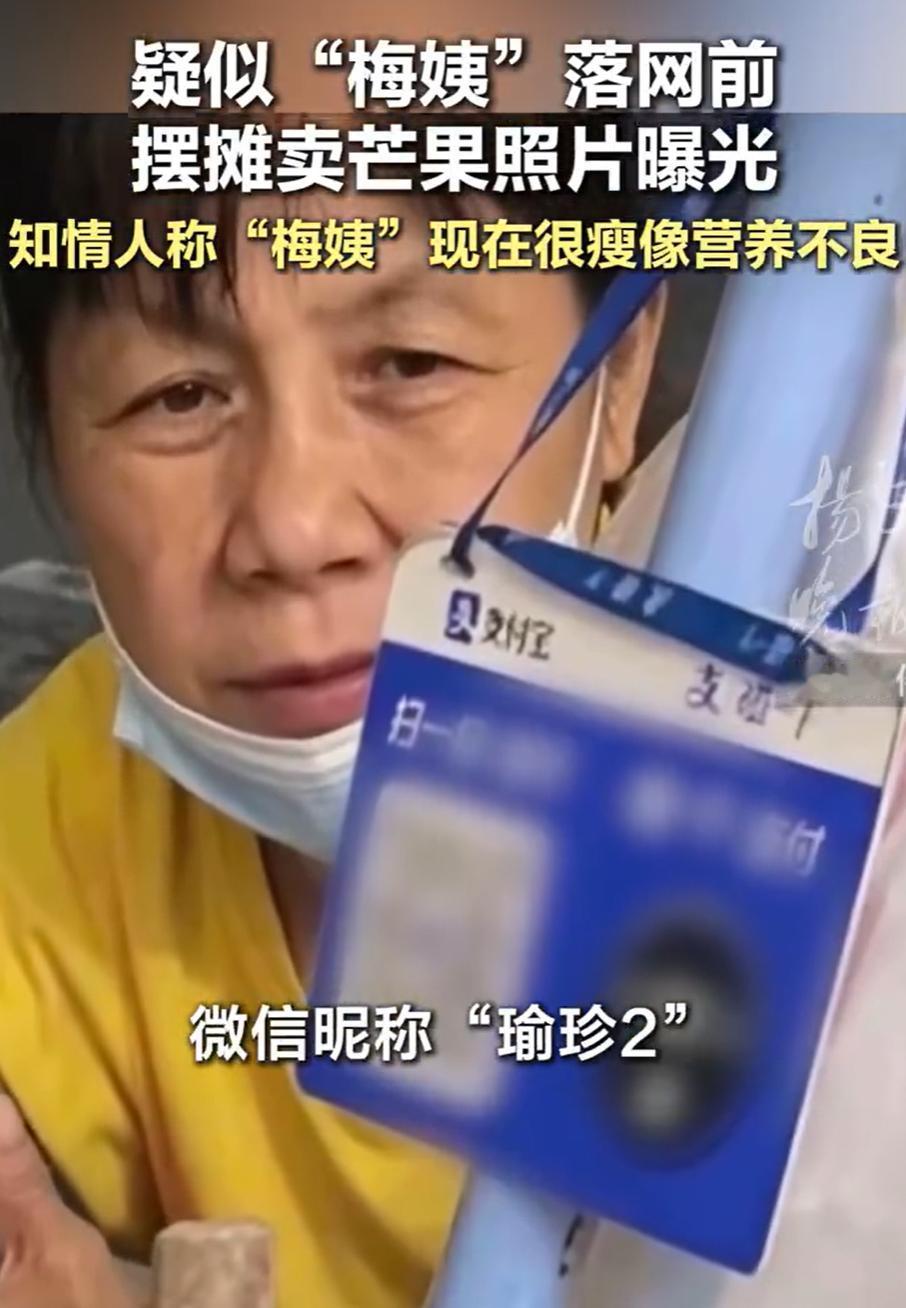 梅姨的照片出来后，很多人都说见过她。

有她出租屋附近的邻居，有给她剪过头发的理