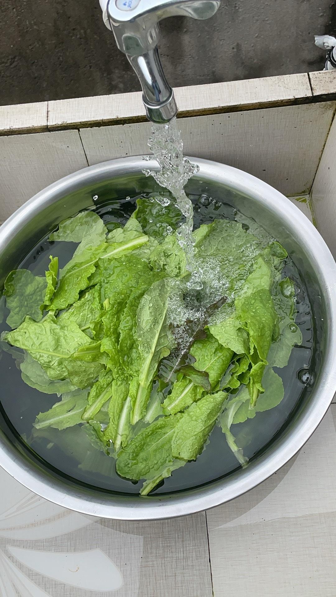 春风拂面，花开满枝。漫步林间，看草木舒展，听鸟鸣清脆，不负春日好时光，用心收藏每