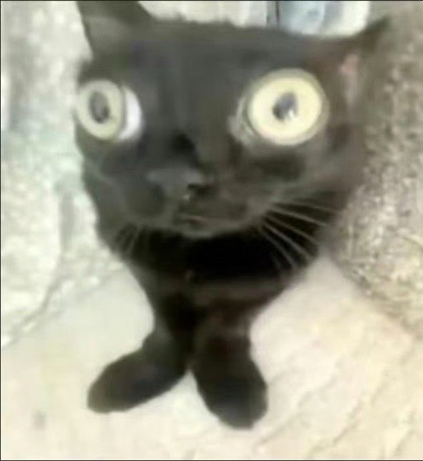 每天上网都是萌萌哒好懵逼啊这半年里我家环大陆卖腐剧居然已经从6.0发展到10.0