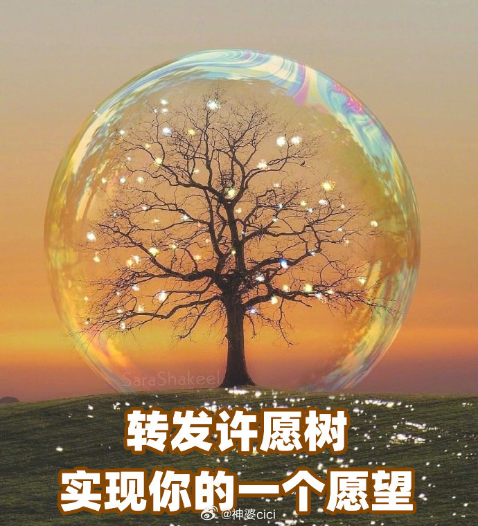 许愿，转发许愿树，实现你的一个愿望~[纸飞机] ​​​